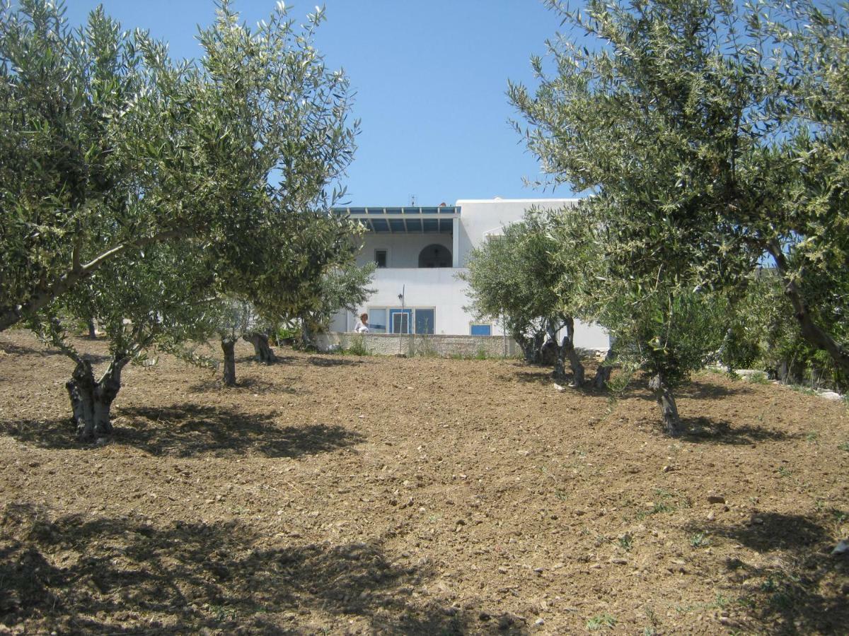 Kafkis House, Paros Villa Dhragoulas Ngoại thất bức ảnh